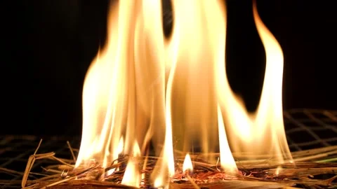 Hot chili pepper on fire Stock Footage 137825527