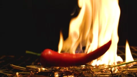 Hot chili pepper on fire Stock Footage 137825550