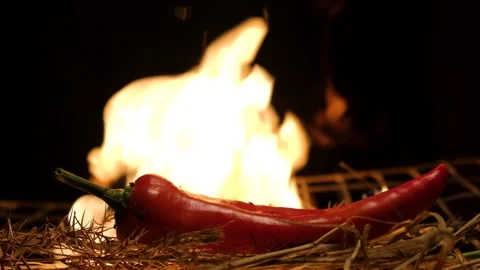 Hot chili pepper on fire Stock Footage 137825601