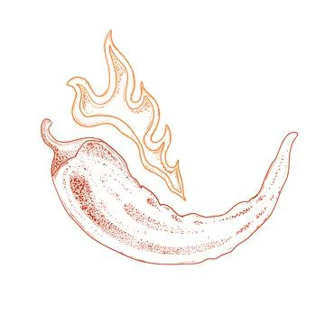 Hot chili pepper fire. Vector hand drawn illustration. Fresh organic vegetable Stock Illustration