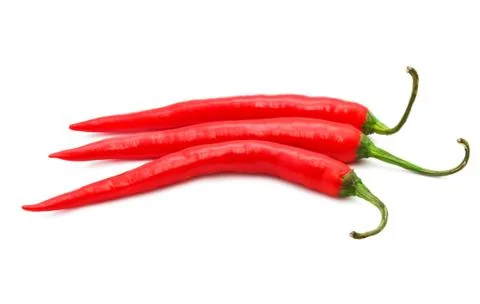 Hot chili pepper Stock Photos