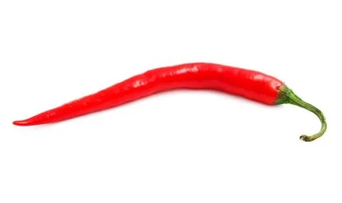 Hot chili pepper Stock Photos