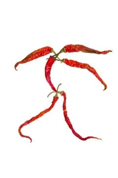 Hot chilli character Stock Photos