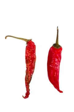 Hot chilli dry Stock Photos