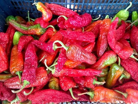 Hot Chilli pepper culinary harb raw vegetable food Fotos Stock