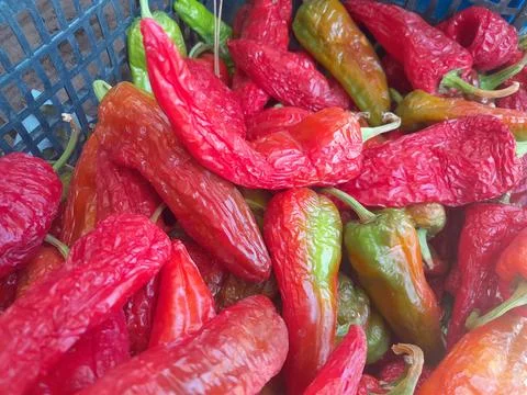 Hot Chilli pepper culinary harb raw vegetable food Stock Photos