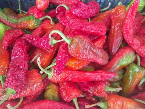 Hot Chilli pepper culinary harb raw vegetable food Stock Photos
