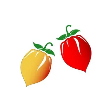 Hot chilli pepper vector set isolated on white background. Red and yellow. Stock Illustration