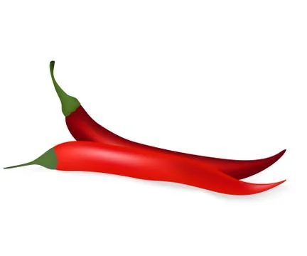Hot chilli pepper on white background Stock Illustration