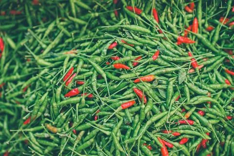 Hot chilli peppers pattern texture background. Stock Photos