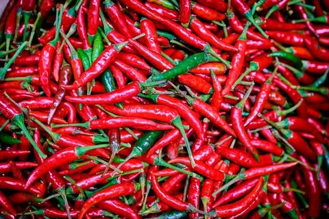 Hot chilli peppers pattern texture background. Stock Photos