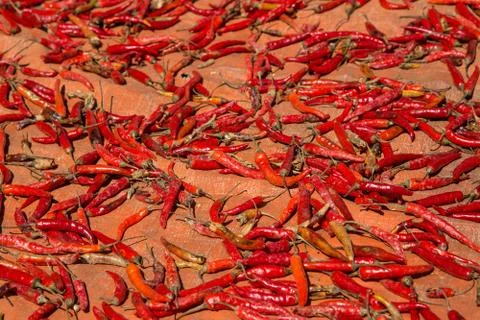 Hot chilli peppers Stock Photos