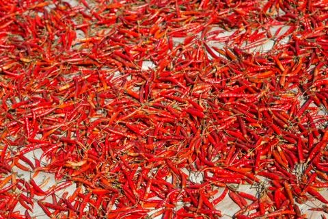 Hot chilli peppers Stock Photos