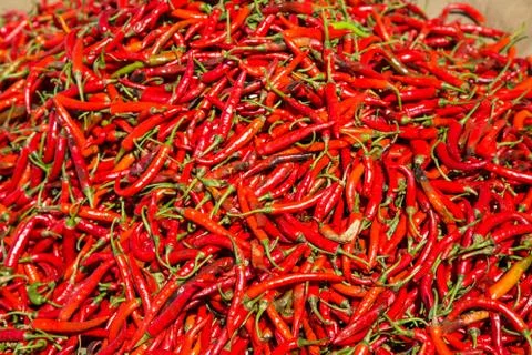 Hot chilli peppers Stock Photos