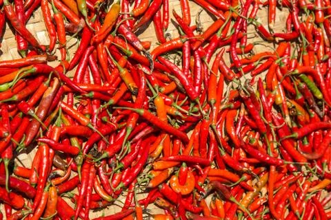 Hot chilli peppers Stock Photos