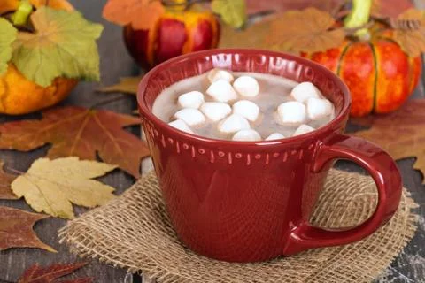 Hot Chocolate and Marshmallows with rustic autumn background Foto stock