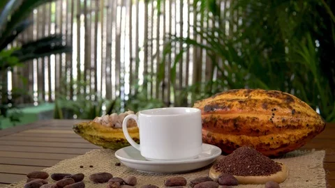 Hot chocolate drink, raw cocoa fruit, cacao beans, cocoa nibs Stock Footage 88908992