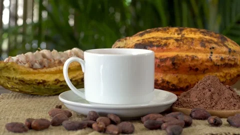 Hot chocolate drink, raw cocoa fruit, cacao beans, cocoa powder Stock Footage 88909258