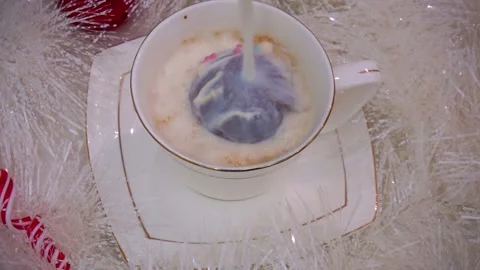 Hot chocolate with marshmallow. Stock Footage 295116377