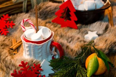 Hot chocolate with marshmallow Stock Photos