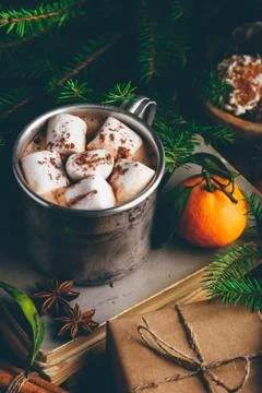Hot chocolate with marshmallow Stock Photos