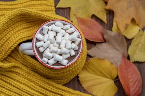 Hot chocolate with marshmallow Stock Photos