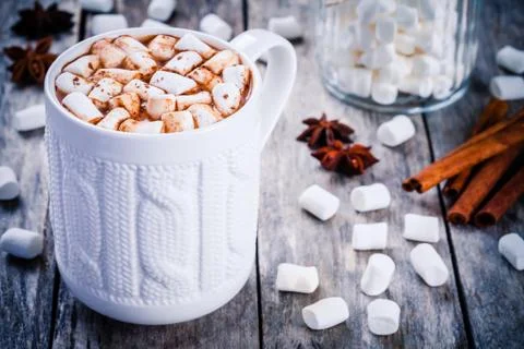 Hot  chocolate with marshmallows Stock Photos
