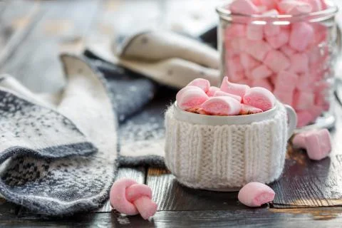 Hot chocolate with marshmallows. Stock Photos