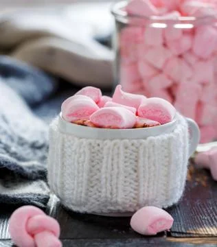 Hot chocolate with marshmallows. Stock Photos