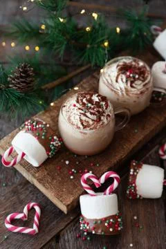 Hot chocolate with marshmallows Stock Photos