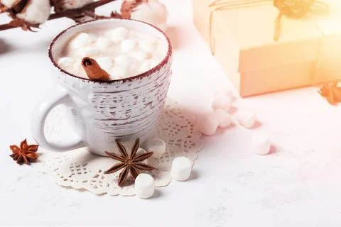 Hot chocolate with marshmallows Stock Photos