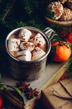 Hot chocolate with marshmallows Stock Photos