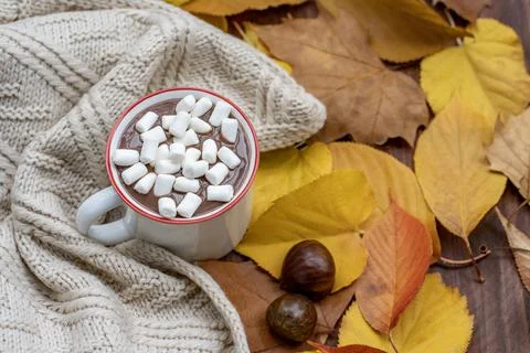 Hot chocolate with marshmallows Stock Photos