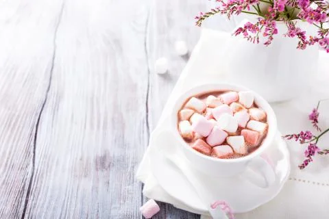 Hot chocolate with mini marshmallows Stock-Fotos