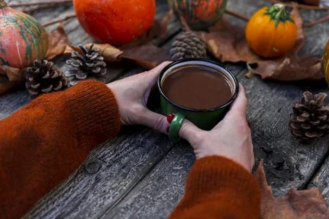 Hot chocolate in rustic Mug held in womans hands against autumn background .. Fotos Stock