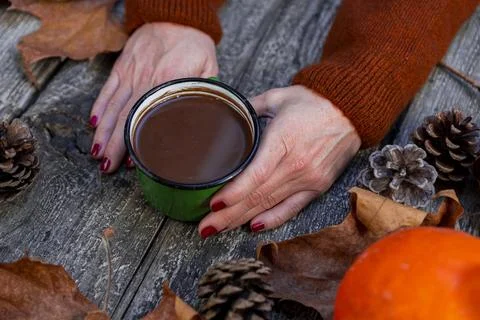 Hot chocolate in rustic Mug held in womans hands against autumn background .. Fotos de archivo