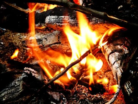 Hot coals and flames in buring campfire Stock Photos
