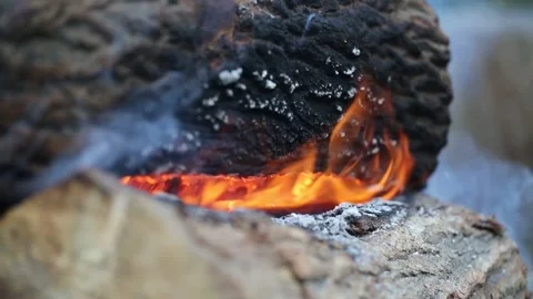 Hot coals burning in the fire Video stock 303883740