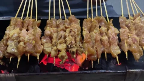 Hot coals from charcoal in the process of grilling chicken satay Stock Footage 307564249