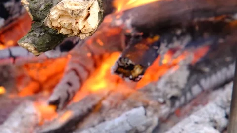 Hot coals of a fire. Coal from a fire. Bonfire Stock Footage 278466209