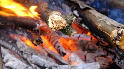 Hot coals of a fire. Coal from a fire. Bonfire Stock Footage 278868027