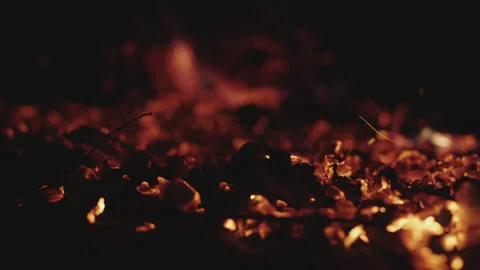 Hot coals in the fire Stock-Footage 150698309