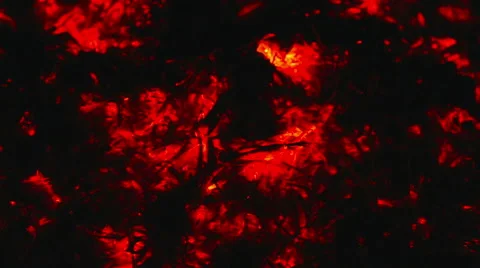 Hot coals Stock Footage 42192447