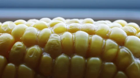 Hot cob of boiled corn with butter. Stock Footage 76942323