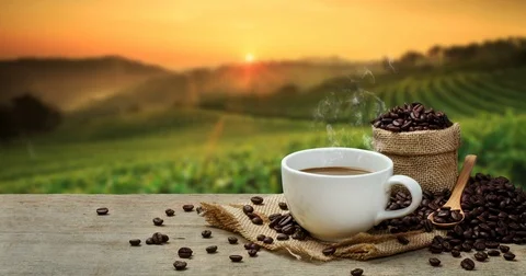 Hot Coffee cup with Coffee beans and the plantations background Stock Footage 84464592