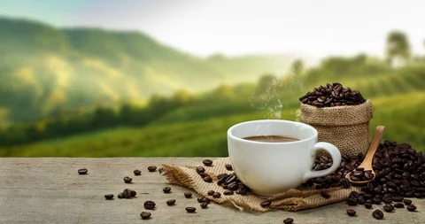 Hot Coffee cup with Coffee beans on the wooden table Stock Footage 100660453