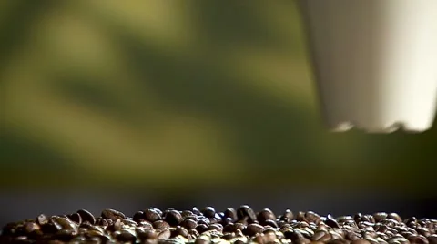 Hot coffee cup placed on beans. 動画素材 8833036