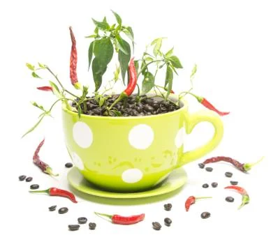 Hot coffee Stock Photos