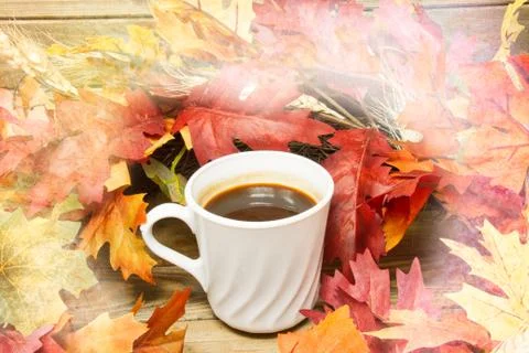 Hot coffee surrounded by fall colored leaves on a wood surface with texture. Photos