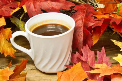 Hot coffee surrounded by fall colored leaves on a wood surface. Fotos Stock